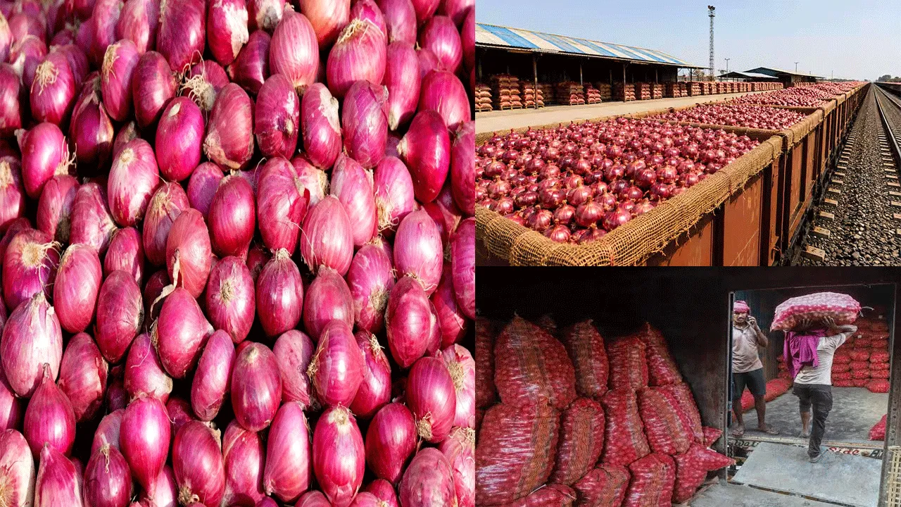 Onions from Government buffer stock to reach Kolkata on 24 September