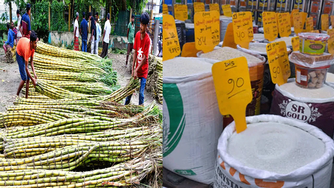Government reduces sugar stock holding limit for sugar dealers to 2,000 quintals from 15th September