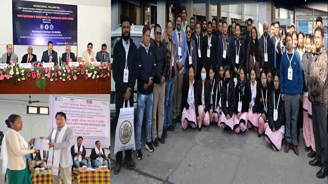 Workshop on Integrated Disease Surveillance held in Tawang