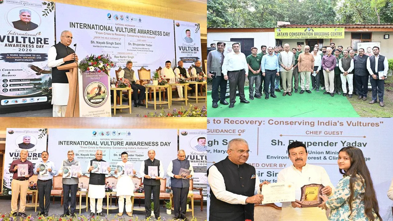 International Vulture Awareness Day 2026 celebrations