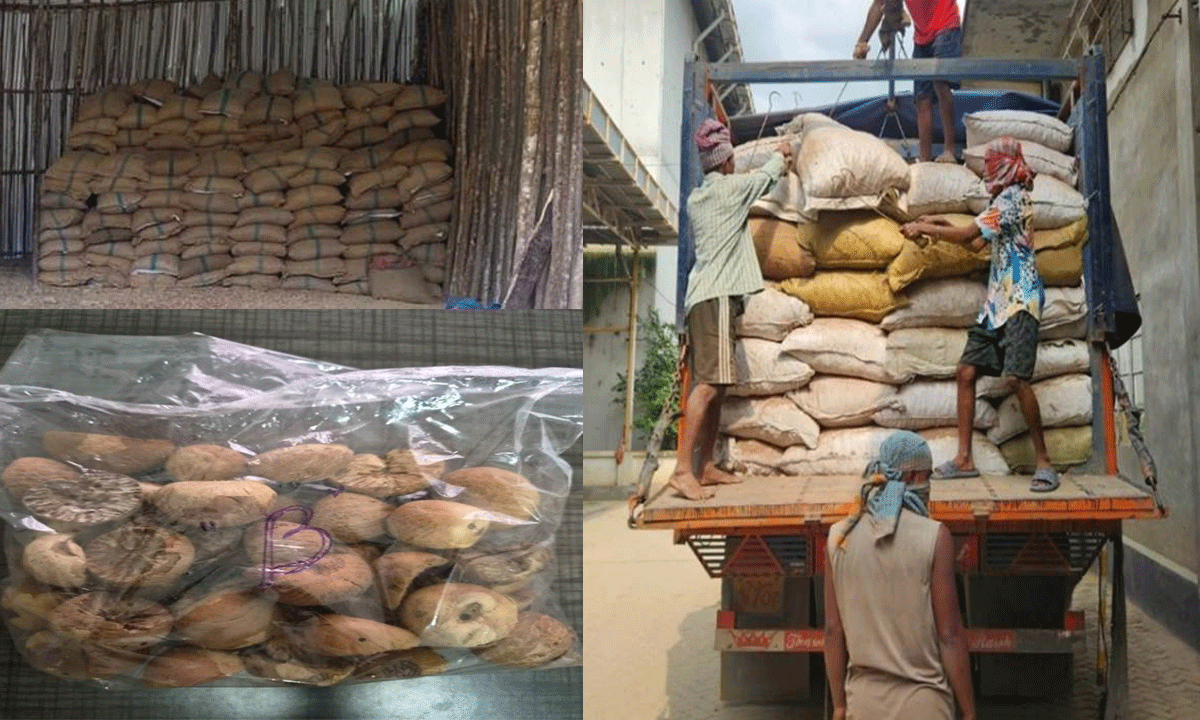 DRI seizes 60,000 kg smuggled foreign origin areca nuts in North-East region; 5 held
