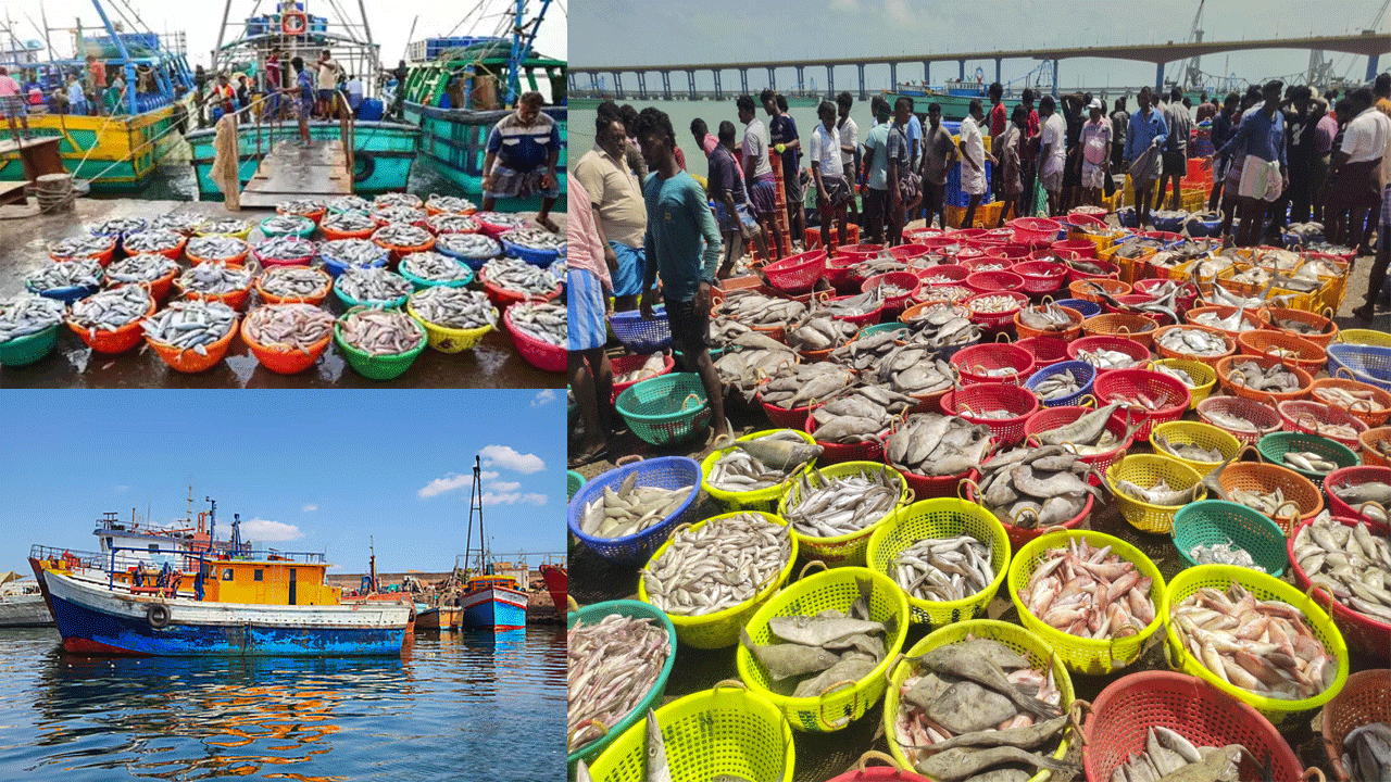 India’s Seafood Exports: From Growth to Global Competitiveness