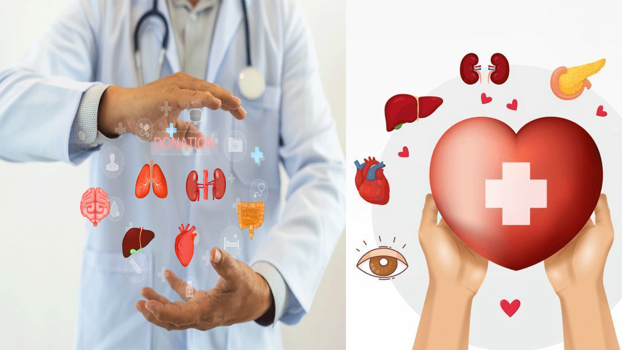 20,019 Organ Transplants Performed in India in 2025