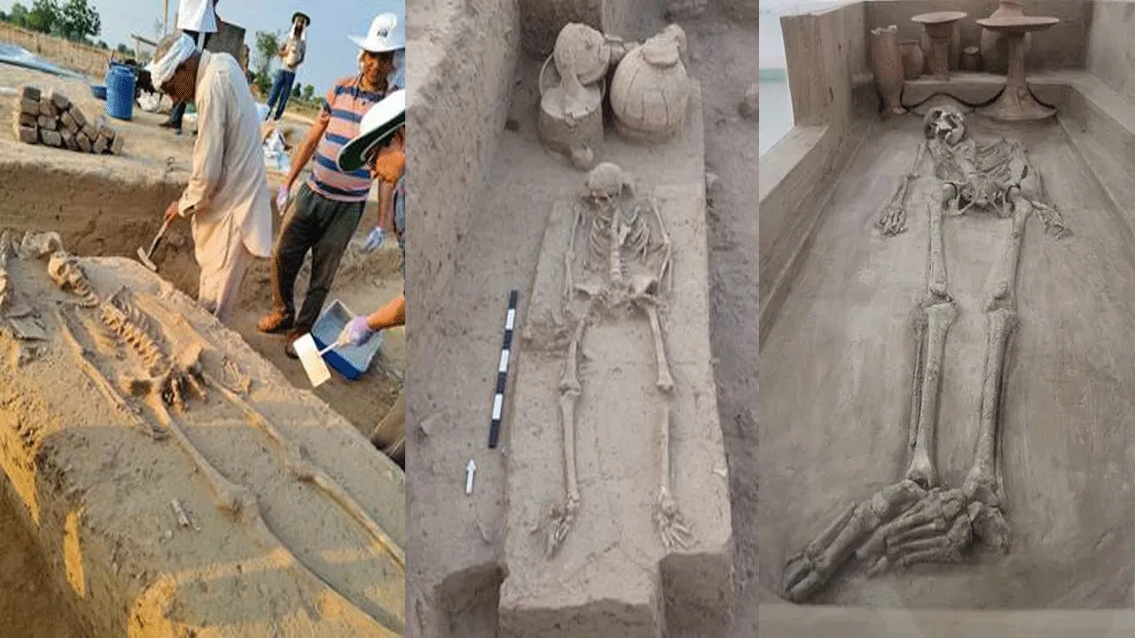news 7